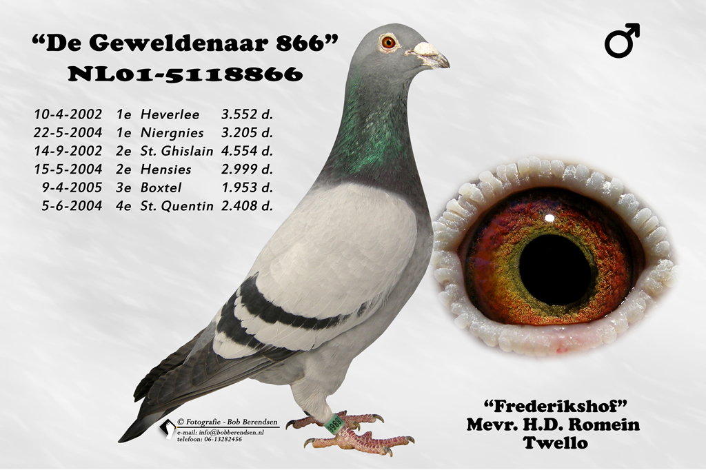 NL01 5118866 M De Geweldenaar 866