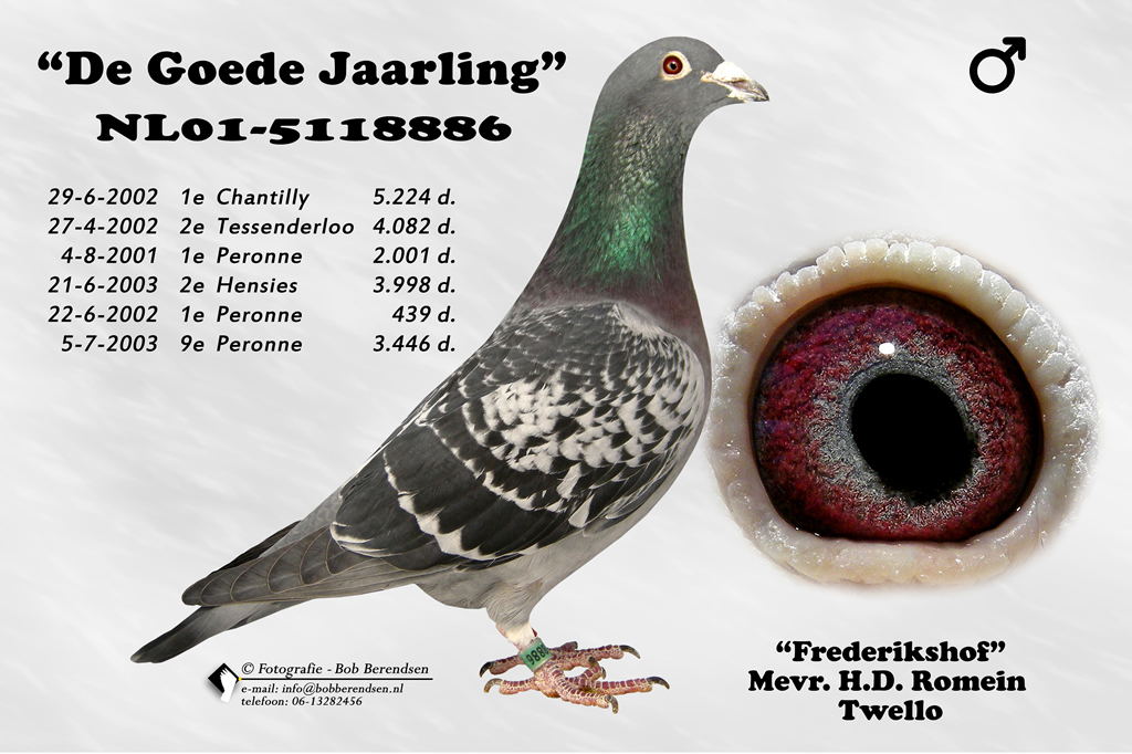 NL01 5118886 M De Goede Jaarling