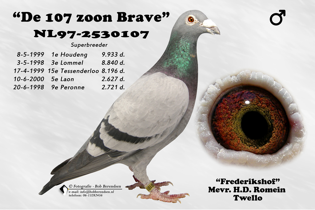 NL97 2530107 De 107 Zoon Brave