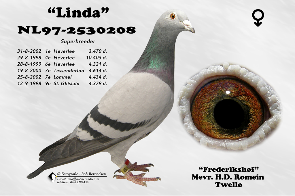 NL97 2530208 V Linda 208